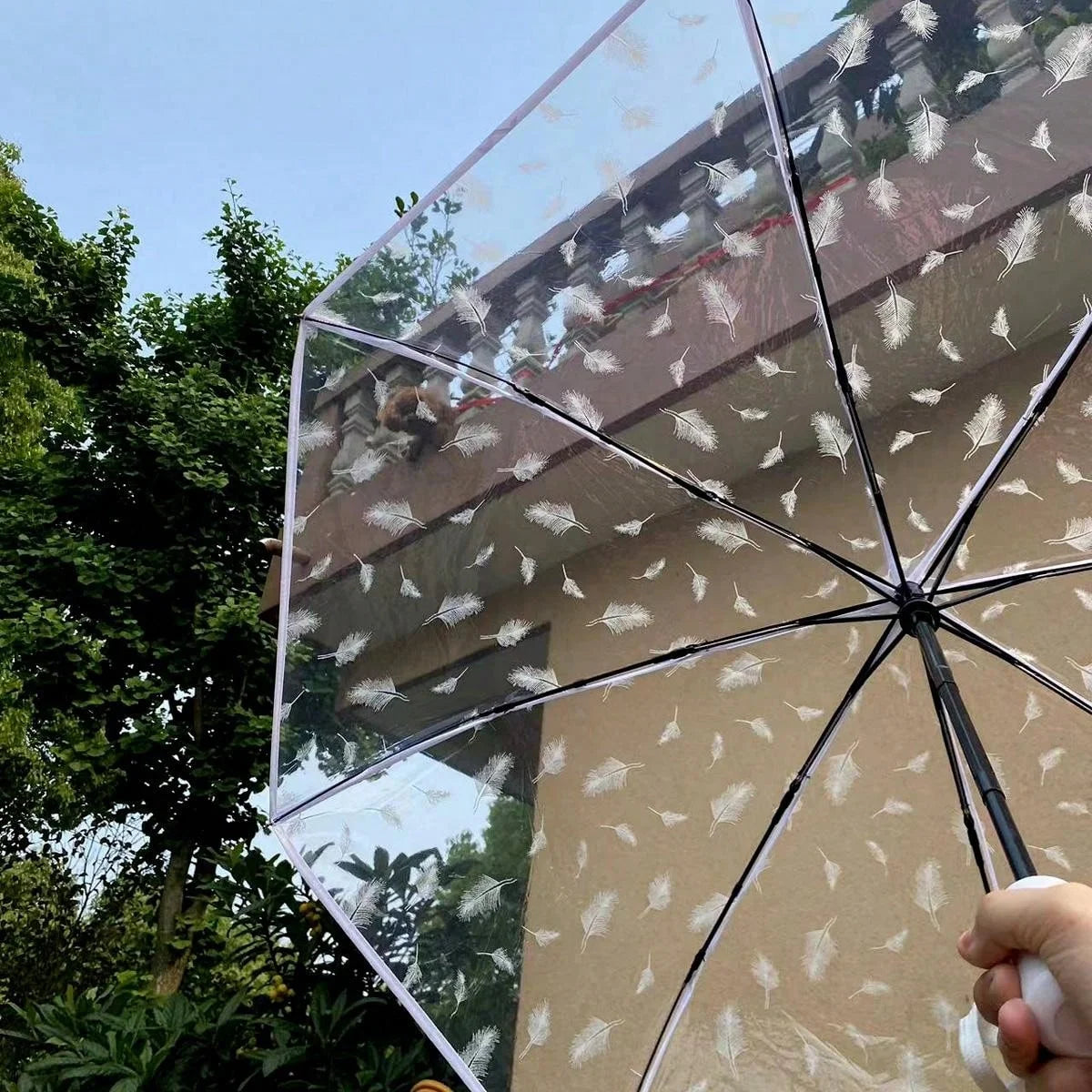 Mini Transparent Cherry Blossom Umbrella
