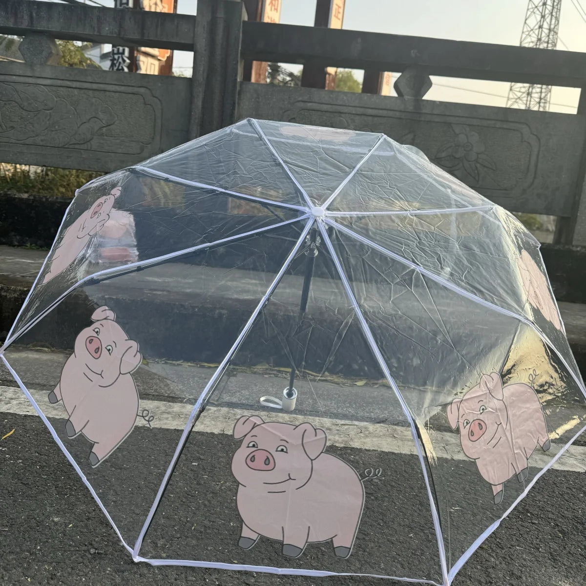 Mini Transparent Cherry Blossom Umbrella